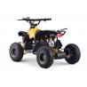 Quads  ATV Quad Elektro 1200 Watt Renegade XXL originalverpackt