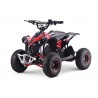 Quads  ATV Quad Elektro 1200 Watt Renegade XXL - MONTIERT