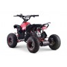 Quads  ATV Quad Elektro 1200 Watt Renegade XXL originalverpackt