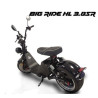 City Big Ride SR(HL3.0), 20 Km/h