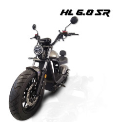 City Dragon Davidson...